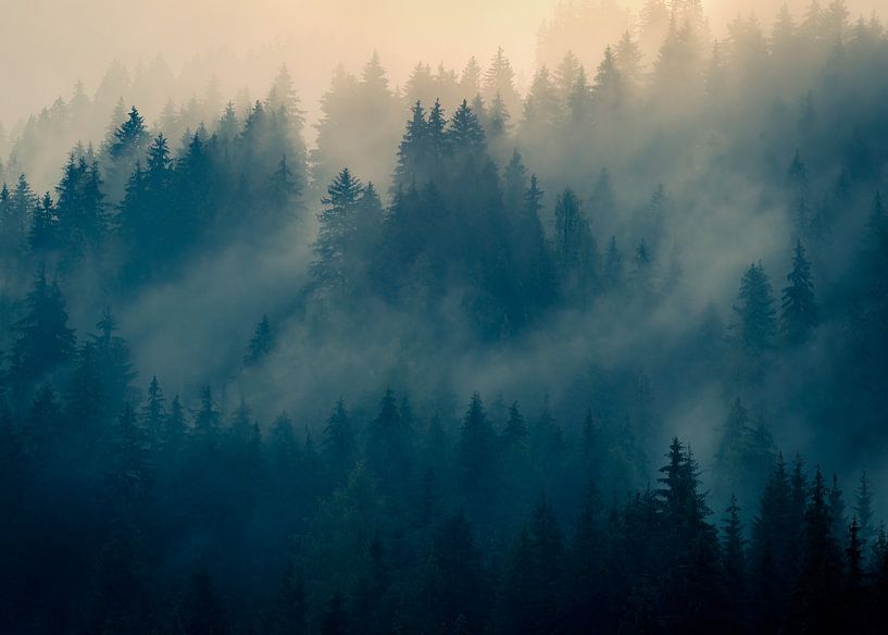 A morning in the Alps by Richard Driessen