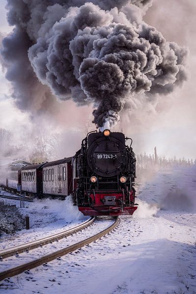 Polar express by Diana Venis-Kerkhoven