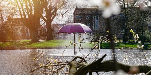 Julianapark in Leeuwarden