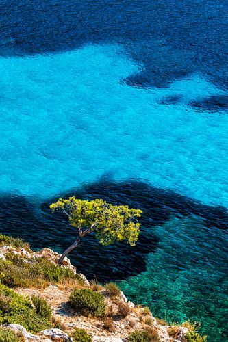 Calanque de Sormiou in the Calanque National Park in France in summer.