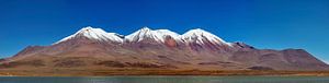 Die Anden des Altiplanos in Bolivien