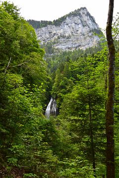 Waterval omringd door bergen en groen bos of woud van Studio LE-gals