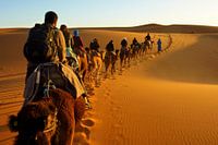 marocco