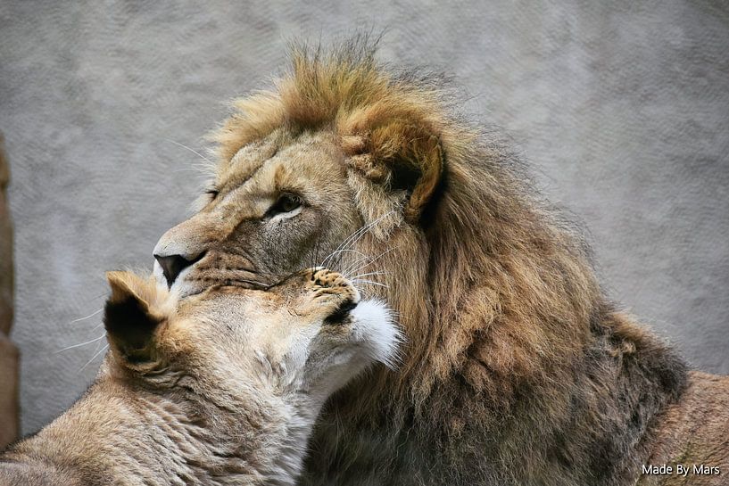 KING &amp; QUEEN by MadeByMars