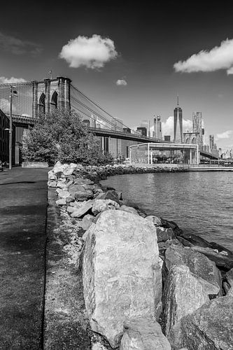 SKYLINE van MANHATTAN EN de BROOKLYN BRIDGE lopen langs de kust 