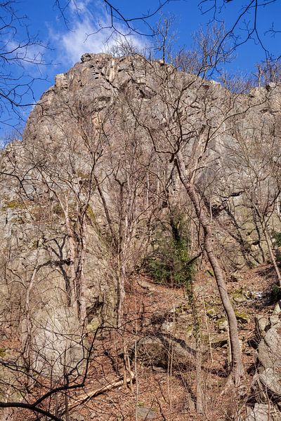 Bodetal, Thale, Harz, Sachsen-Anhalt, Deutschland von Torsten Krüger