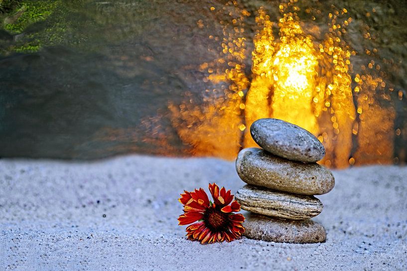 Sand und Steine von Thomas Riess