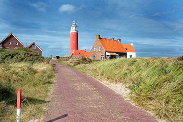 De Cocksdorp Texel lighthouse by Rene du Chatenier
