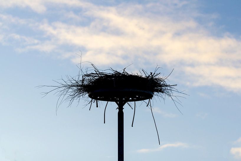 ooievaars nest by ton vogels