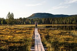 The Explorer | Evening walk in Idre, Dalarna, Sweden by Dylan Winter Visuals