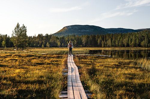 L'explorateur | Promenade nocturne à Idre, en Dalécarlie (Suède)
