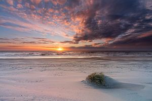 Texel Strandpfosten 15 kleines Büschel Strandhafer mit schönem Sonnenuntergang