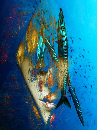 Kijken naar enkele barracuda's