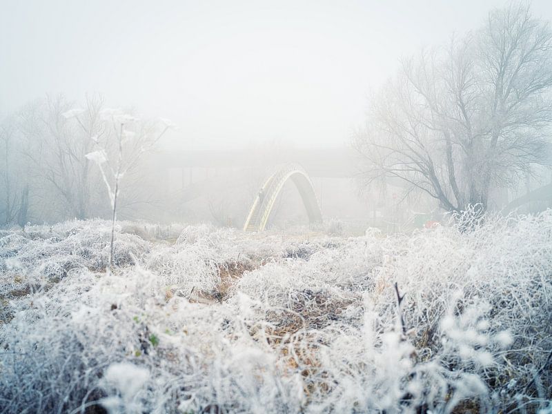Ooypoort by Jasper Bunschoten