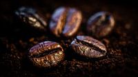 5 koffiebonen op koffiepoeder