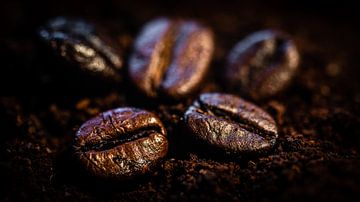 5 coffee beans on coffee powder by Dieter Walther