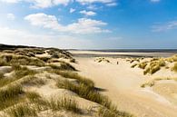 Duinen, Strand en Zee van Michel van Kooten thumbnail