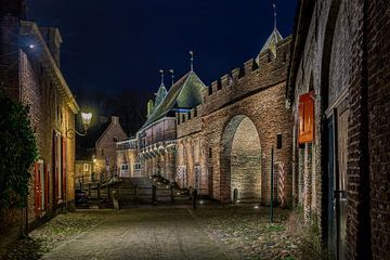 Achter de Koppelpoort van Bart Hendrix