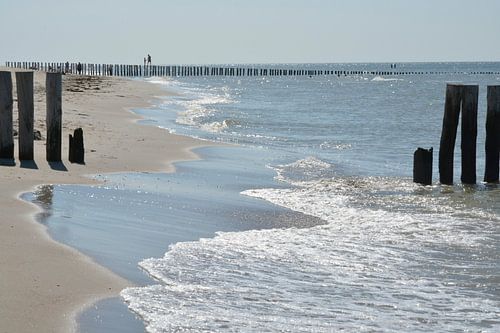 Beach with surf and poles in the sea