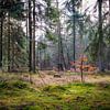 That place by Johan Mooibroek