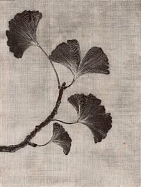 Branche de ginkgo (arbre à noix) au style botanique apaisant, sur fond texturé en lin