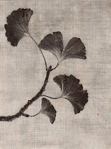 Ruhiger botanischer Ginkgo-Zweig (Nussbaum) auf Leinen-Textur