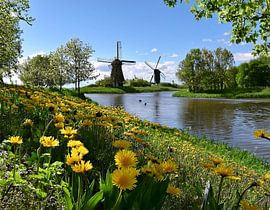 Flowers by the river in spring by Claude Laprise