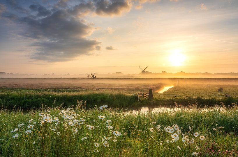 Nederland van Photo Wall Decoration