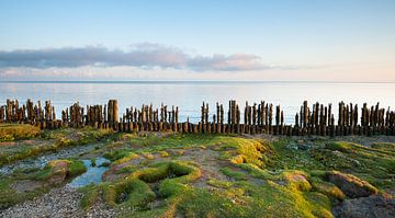 zonsopgang Paesens-Moddergat von margreet van vliet