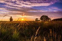 Sunset over Dwingelderveld National Park