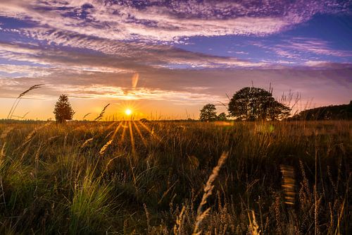 Zonsondergang boven Nationaal Park Dwingelderveld, op Canvas, Behang Artframe en nog veel meer!