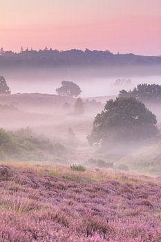A misty morning on the heath - vertical