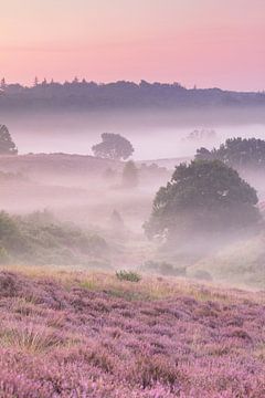 Een mistige ochtend op de heide - verticaal van Monique van Genderen (in2pictures.nl fotografie)