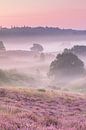 Een mistige ochtend op de heide - verticaal van Monique van Genderen (in2pictures.nl fotografie) thumbnail