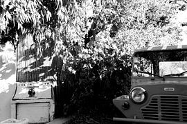 Toutou's Bar Brigitte La Madrague van Tom Vandenhende