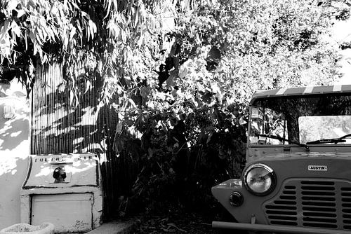 Toutou's Bar Brigitte La Madrague