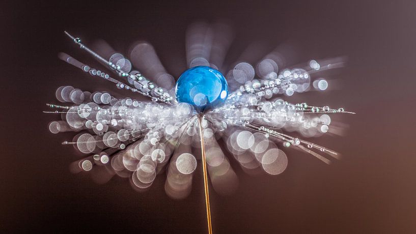 Gouttes d'eau sur une peluche avec bokeh par Bert Nijholt