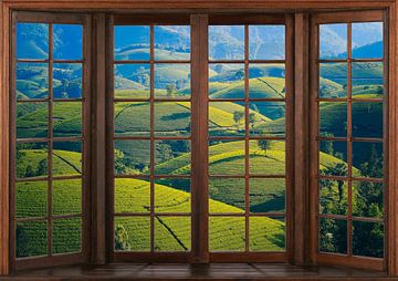 View from a wooden window by Bert Hooijer