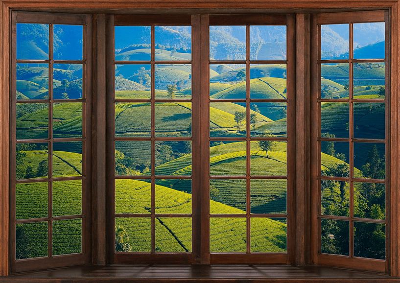 Vue d'une fenêtre en bois par Bert Hooijer