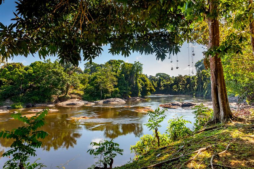 Blick auf den Fluss Surinam, oberhalb von Surinam von Marcel Bakker