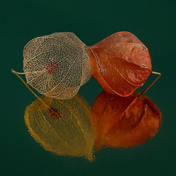 Chique vierkantje: So happy together: 2 lampionnetjes met groenblauwe achtergrond van Marjolijn van den Berg