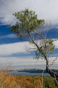 Uitzicht op Sydney