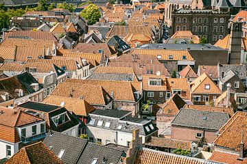 Blick über die Dächer der Hansestadt Kampen