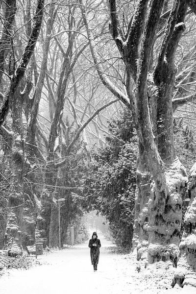 Wandeling in de sneeuw van Dieter Walther