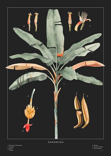 Banana Poster Schwarz von MAR Illustrations and Design