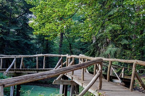 Pont en bois