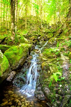 Waterfall in the Vosges Cascade de Battion in a forest landscape