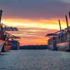 Giganten der Meere – im Hafen vereint von Sabine Wagner