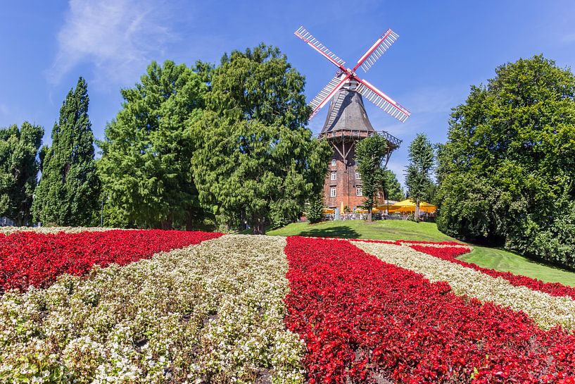 Lit de fleurs devant le moulin à vent de Brême par Marc Venema
