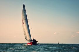 Summer by Dimislava Todorova